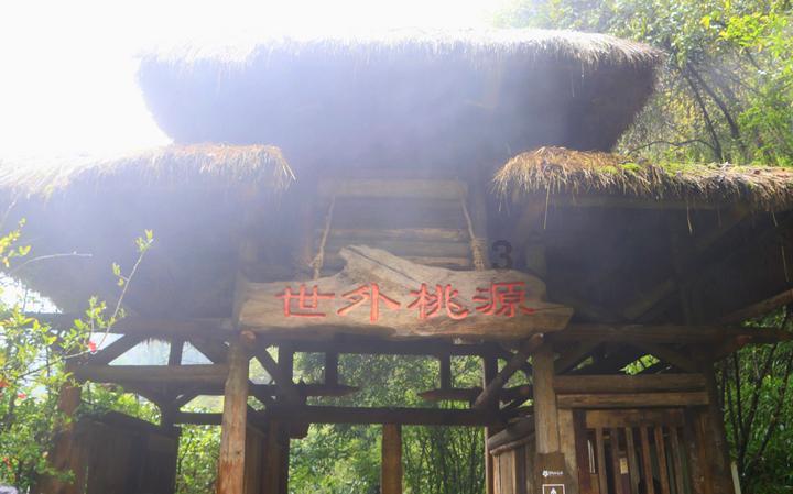 动物帮帮忙保卫家园