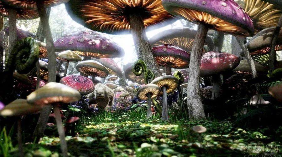 什么是电源适配器的尺寸和重量等物理参数?